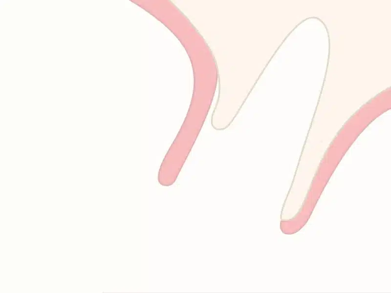 Shield 02