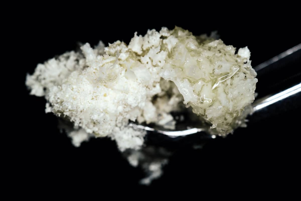Close-up of a spoonful of white and translucent dental biomaterial with a textured surface.