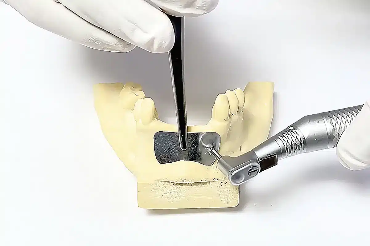 Dental model being worked on with a dental handpiece and tool, demonstrating a procedure on a prosthetic jaw.