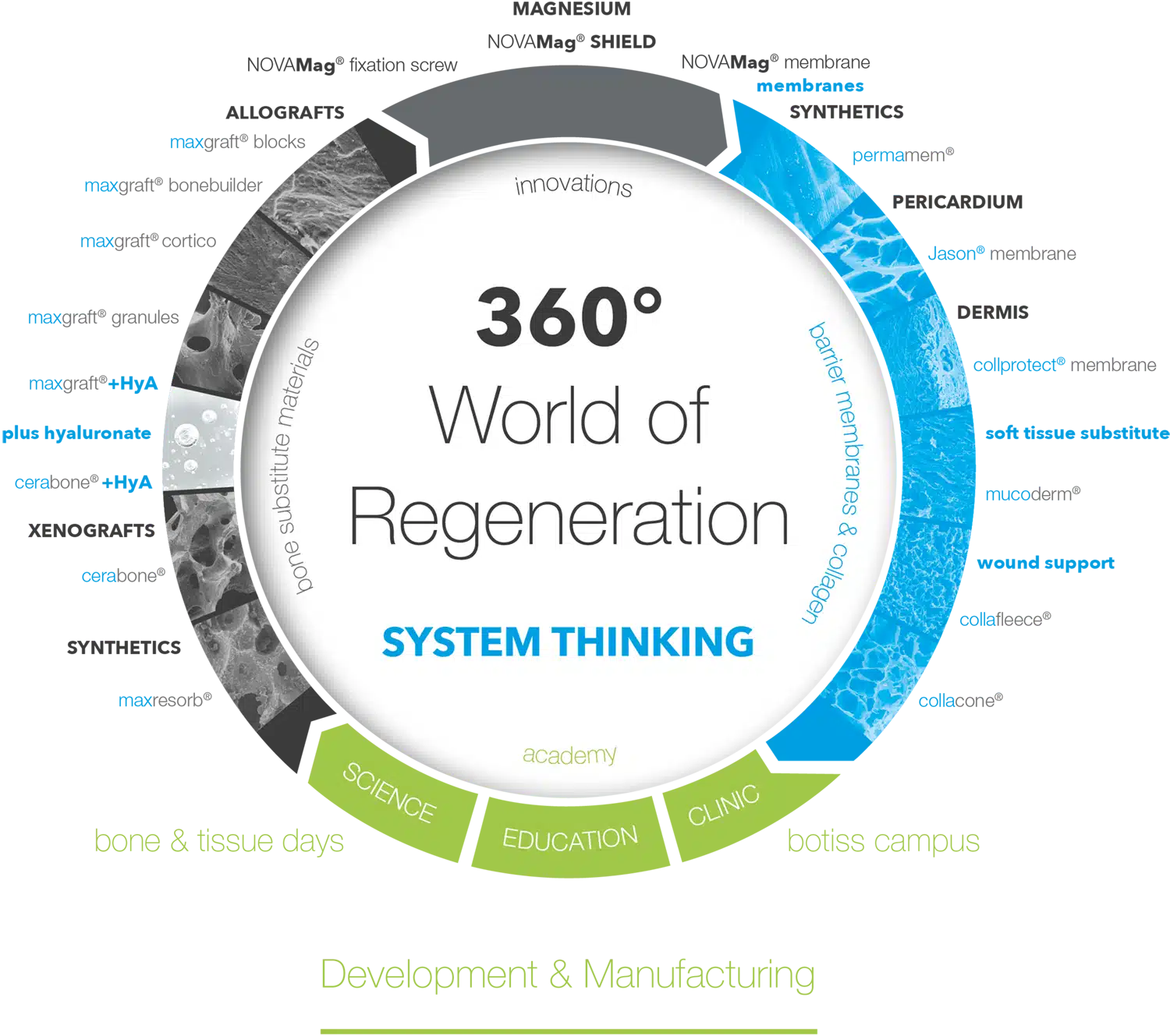 Grafica circolare con testo 360° World of Regeneration e SYSTEM THINKING, evidenziando concetti di sviluppo e innovazione nei biomateriali odontoiatrici.
